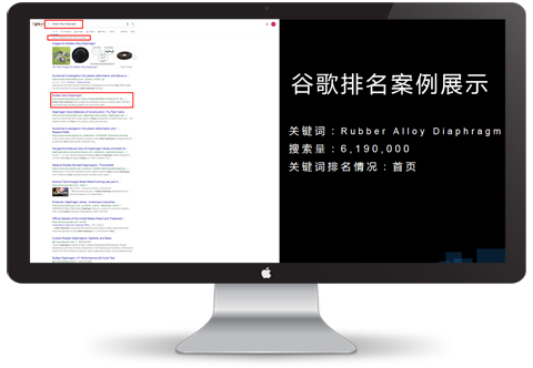 外貿(mào)推廣案例,谷歌關(guān)鍵詞優(yōu)化排名